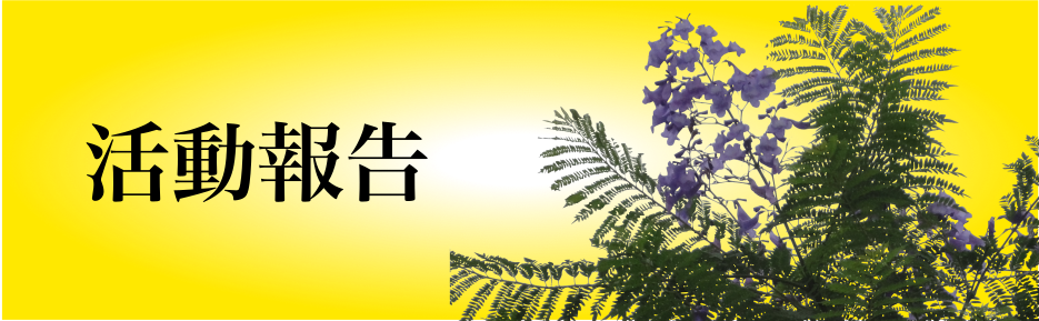 活動報告